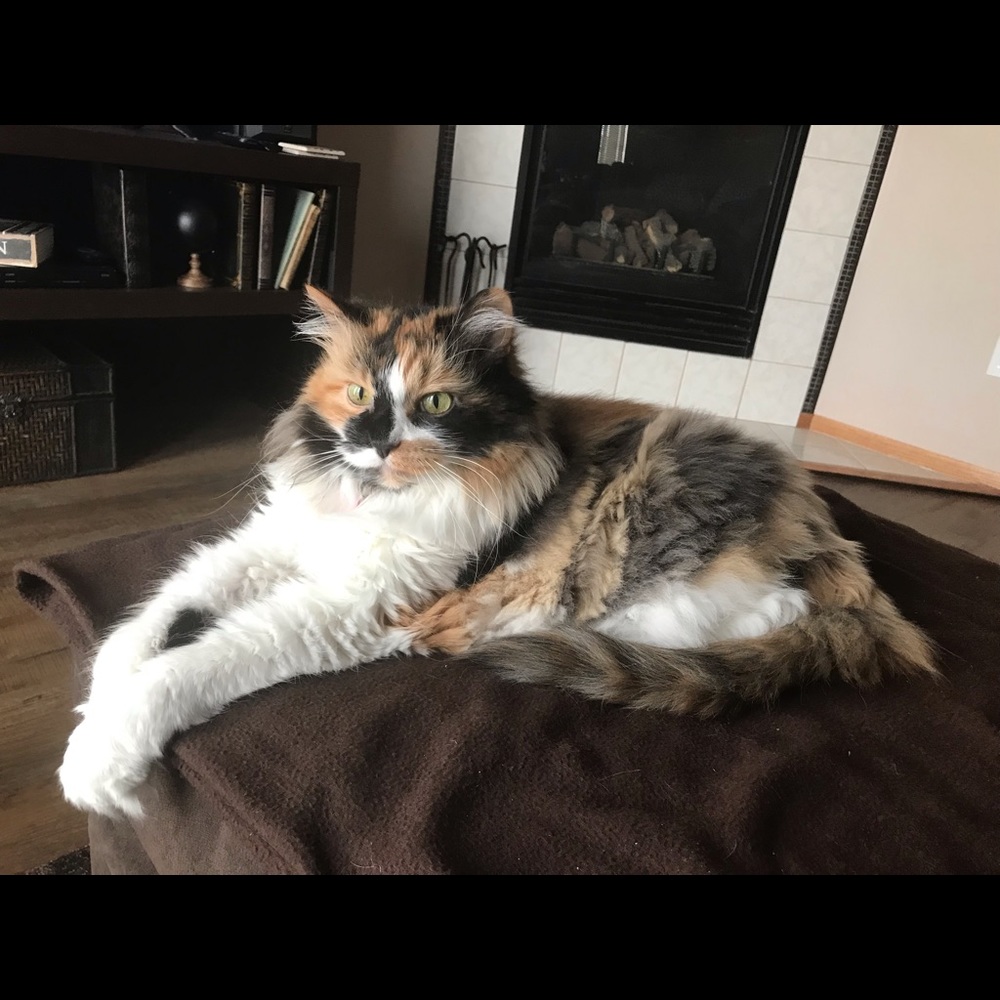 Meet your Posher, Patricia